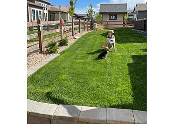 Colorado Springs Lawn Care Services Weed Man Lawn Care
