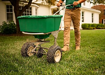 Lexington Lawn Care Services Weed Man Lawn Care
