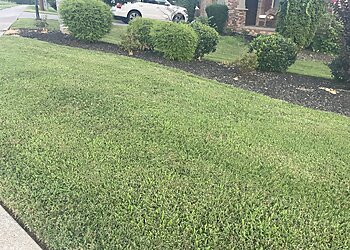 Lexington Lawn Care Services Weed Man Lawn Care