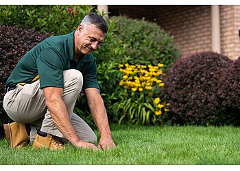 Weed Man Lawn Care Madison Lawn Care Services image 1