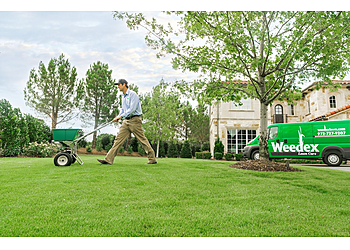 Grand Prairie Lawn Care Services Weedex Lawn Care