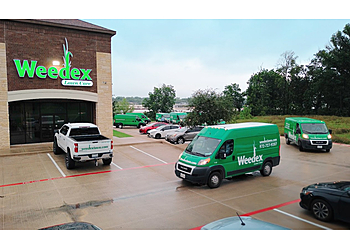 Weedex Lawn Care Grand Prairie Lawn Care Services image 1
