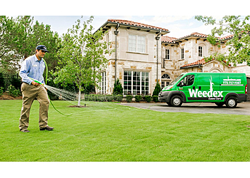 Weedex Lawn Care McKinney Lawn Care Services image 1