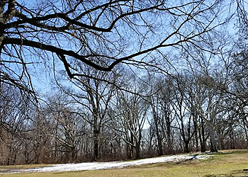 Weequahic Park - Newark, NJ Hiking Trails - Trail Image