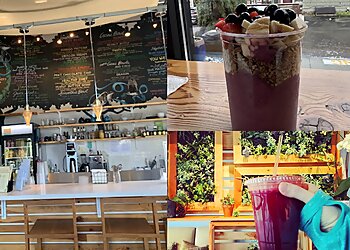 Spokane Juice Bars Wellness Tree