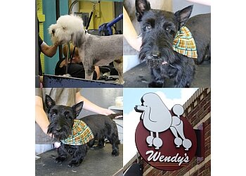 Minneapolis Pet Grooming Wendy's Doghouse