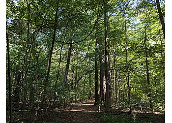Evansville Hiking Trails Wesselman Woods