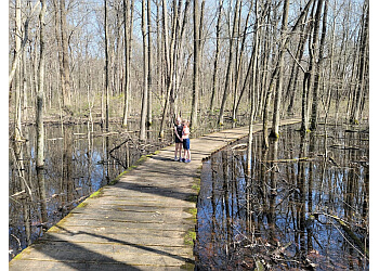 Evansville Hiking Trails Wesselman Woods