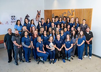 San Diego Veterinary Clinics West Coast Animal Hospital