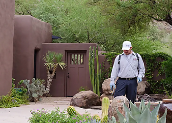 Glendale Pest Control Companies West Coast Pest Control