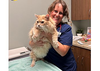 Springfield Veterinary Clinics West Lake Animal Hospital