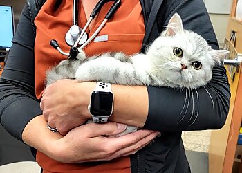 Cleveland Veterinary Clinics West Park Animal Hospital