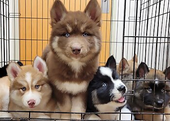 Cleveland Veterinary Clinics West Park Animal Hospital