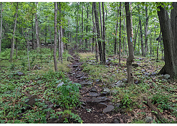 New Haven Hiking Trails West Rock Ridge State Park