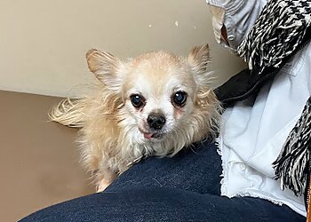 Toledo Veterinary Clinics West Suburban Animal Hospital