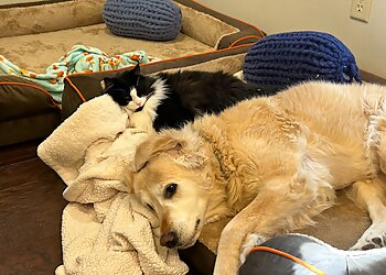 Toledo Veterinary Clinics West Suburban Animal Hospital