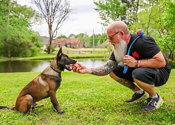 Memphis Dog Training West Tennessee K9