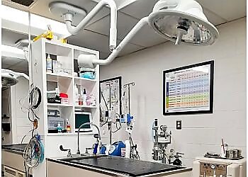 West Valley City Veterinary Clinics West Valley Veterinary Clinic