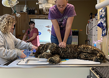 Tampa Veterinary Clinics Westchase Veterinary Center and Emergency