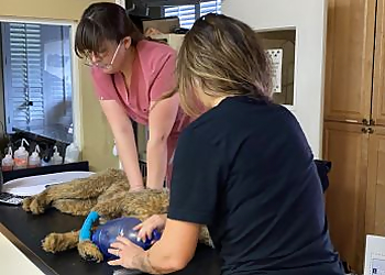 Tampa Veterinary Clinics Westchase Veterinary Center and Emergency