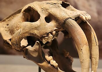 Moreno Valley Places To See Western Science Center