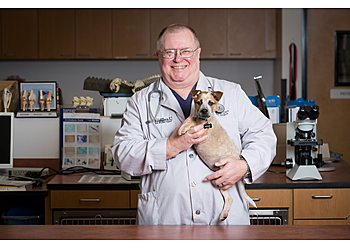 Pomona Veterinary Clinics WesternU Pet Health Center