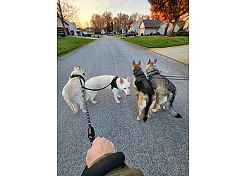 Western Veterinary Clinic - South Bend, IN Veterinary Clinics - Service Highlights