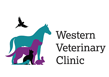 Western Veterinary Clinic Western Veterinary Clinic - South Bend, IN Veterinary Clinics - Clinic Logo