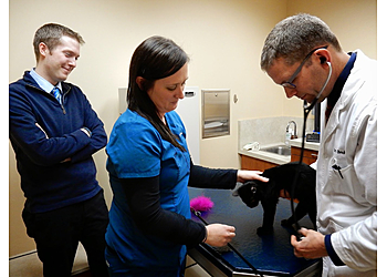 Westgate Pet Clinic - Minneapolis, MN Veterinary Clinics - Doctor With Patient Image