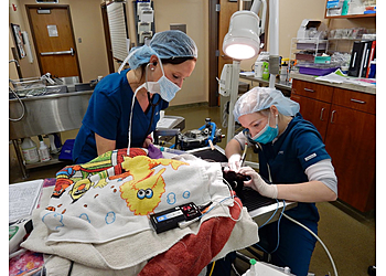 Westgate Pet Clinic - Minneapolis, MN Veterinary Clinics - Medical Procedure Image