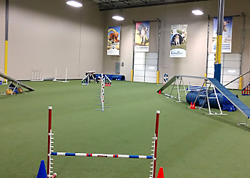 What A Great Dog! - Frisco, TX Dog Training - Business Interior Image