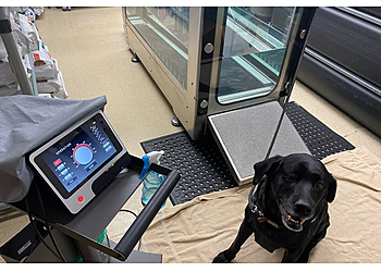 Naperville Veterinary Clinics Wheatland Animal Hospital