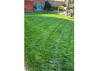 West Valley City Lawn Care Services White Hat Lawn Care