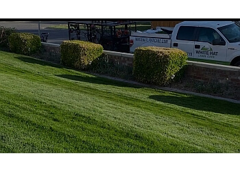 White Hat Lawn Care West Valley City Lawn Care Services