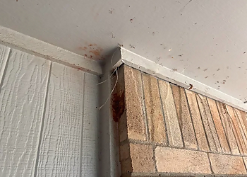 White Knight Pest Control Norman - Norman, OK Pest Control Companies - Repair Process Image