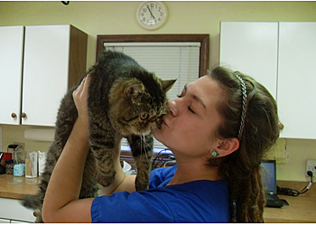 Springfield Veterinary Clinics White Oaks West Animal Hospital