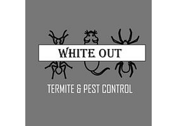 Arlington pest control company White Out Termite and Pest Control