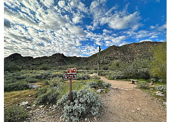 Hiking In Surprise Az