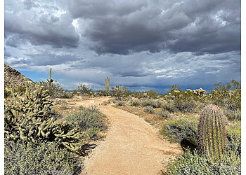 Surprise Hiking Trails White Tank Mountain Regional Park