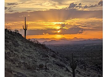 Glendale Hiking Trails White Tank Mountain Regional Park Trail