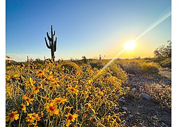 Glendale Hiking Trails White Tank Mountain Regional Park Trail