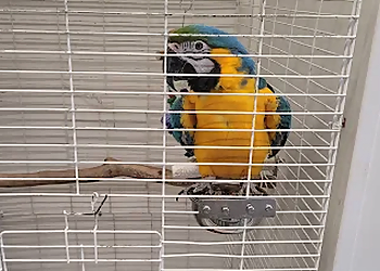 Elizabeth Pet Stores Whiteway Pet Shop