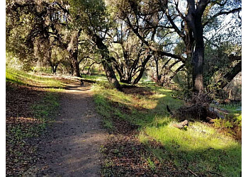 3 Best Hiking Trails in Santa Clarita, CA - Expert Recommendations