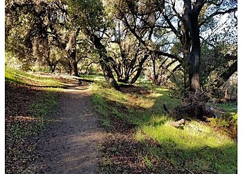 Santa Clarita Hiking Trails Whitney Canyon Park Trail