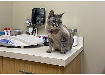 Chicago Veterinary Clinics Wicker Park Veterinary Clinic