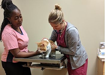 Chicago Veterinary Clinics Wicker Park Veterinary Clinic