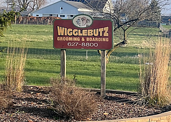 Wigglebutz Grooming and Boarding  Fort Wayne Pet Grooming image 1