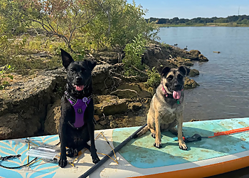 Wild At Heart Canine Academy - Fort Worth, TX Dog Training - Service Image
