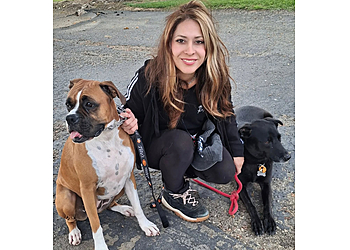 Anaheim Dog Walkers Wild CaninA