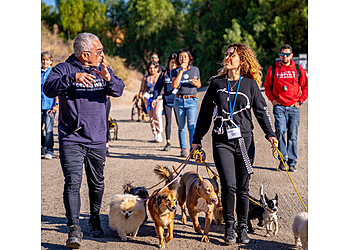 Wild CaninA Anaheim Dog Walkers image 1
